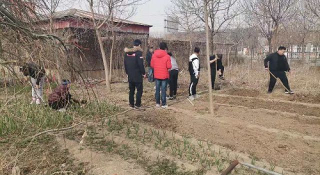 一米菜園，成就我們的田園夢