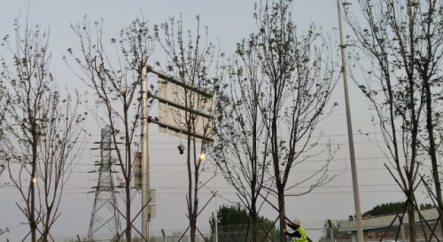 濟(jì)寧市快速路一期工程項目綠化施工已完成80%