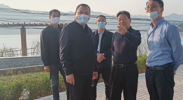 董事長(zhǎng)蒞臨淄川項(xiàng)目檢查指導(dǎo)工作